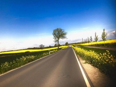 Apartment Klütz Küstenkomfort - Environment photo 36