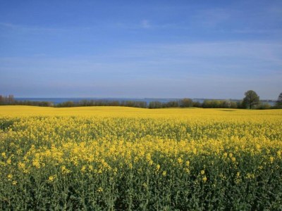 Apartment Klütz Küstenkomfort - Environment photo 37
