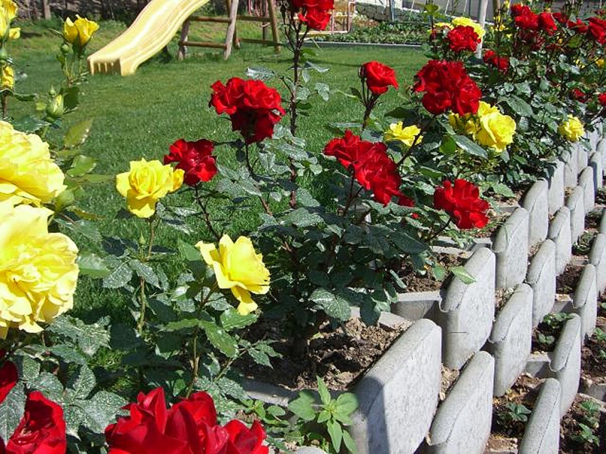 Holiday apartment at the Holiday farm Hanna - Outdoor photo 5