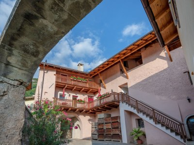 Holiday apartment at the Holiday farm Hanna in Tramin - Holiday apartment