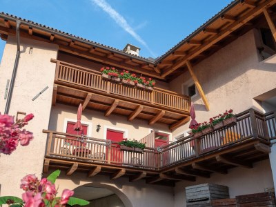 Holiday apartment at the Holiday farm Hanna - Outdoor photo 3