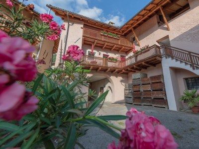 Holiday apartment at the Holiday farm Hanna - Outdoor photo 4