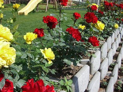 Holiday apartment at the Holiday farm Hanna - Outdoor photo 5