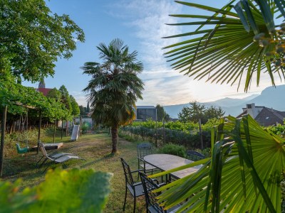 Holiday apartment at the Holiday farm Hanna - Outdoor photo 7