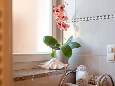 Holiday apartment at the Holiday farm Hanna - Features photo 23