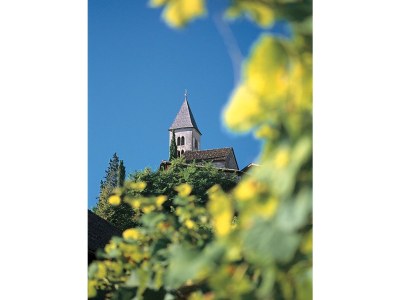 Holiday apartment at the Holiday farm Hanna - Environment photo 27