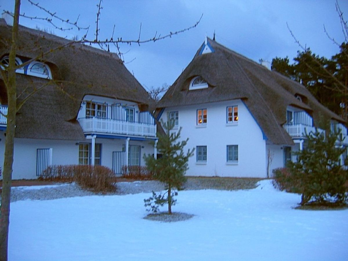 Holiday apartment Achtern Diek "Sonneneck" - Outdoor photo 3