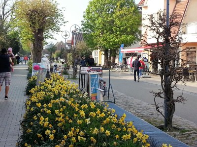 Holiday apartment Achtern Diek "Sonneneck" - Environment photo 15