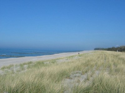 Holiday apartment Achtern Diek "Sonneneck" - Environment photo 16