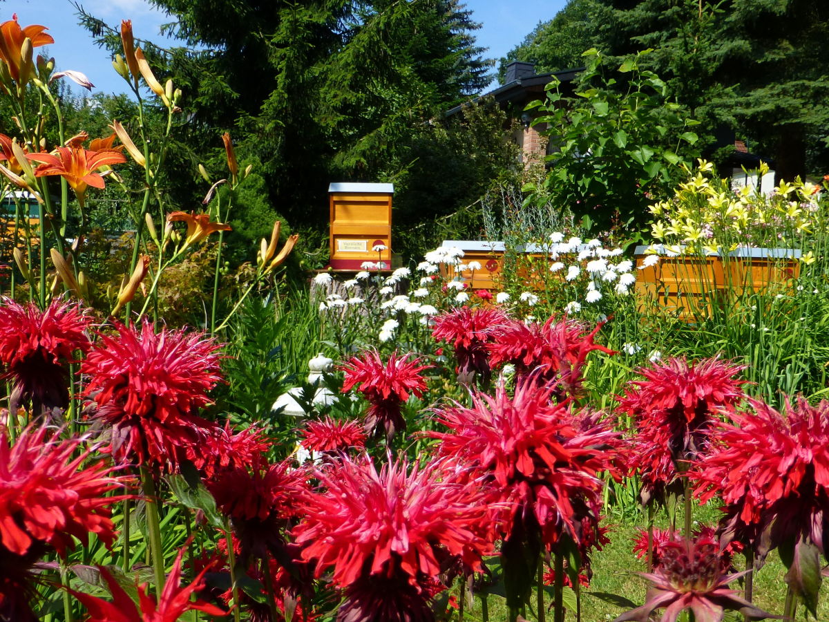 Holiday house Ferienhaus Radig - Outdoor photo 2