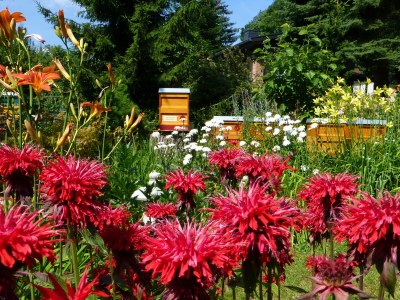 Holiday house Ferienhaus Radig - Outdoor photo 2