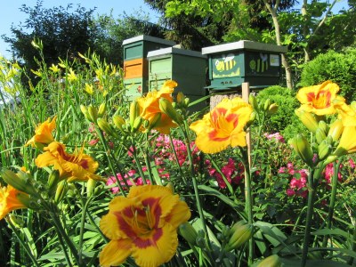 Holiday house Ferienhaus Radig - Outdoor photo 4