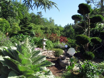 Holiday house Ferienhaus Radig - Outdoor photo 5