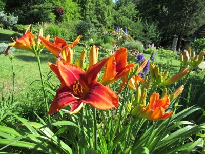 Holiday house Ferienhaus Radig - Outdoor photo 6