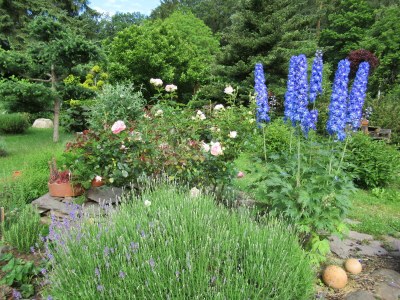 Holiday house Ferienhaus Radig - Outdoor photo 7