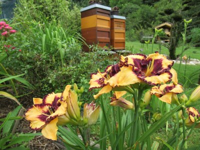 Holiday house Ferienhaus Radig - Outdoor photo 9