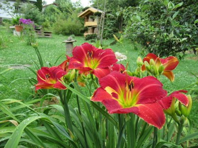 Holiday house Ferienhaus Radig - Outdoor photo 10