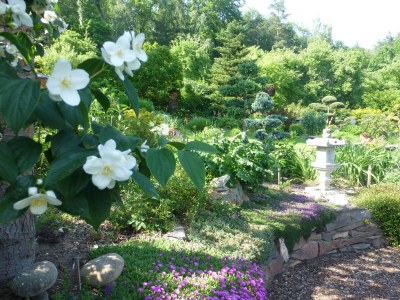 Holiday house Ferienhaus Radig - Outdoor photo 13