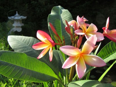 Holiday house Ferienhaus Radig - Outdoor photo 15