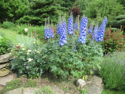 Holiday house Ferienhaus Radig - Outdoor photo 18