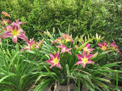 Holiday house Ferienhaus Radig - Outdoor photo 19