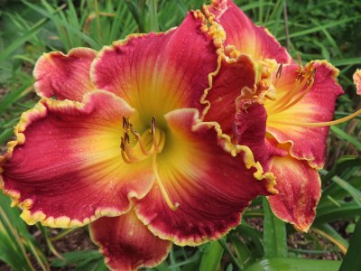 Holiday house Ferienhaus Radig - Outdoor photo 20