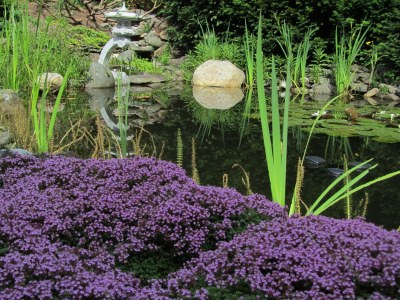 Holiday house Ferienhaus Radig - Environment photo 34