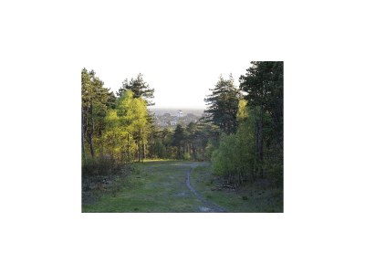 Apartment Holiday Home in Bergen near North Sea Beach - Environment photo 30