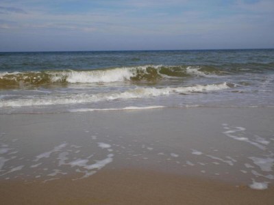 Apartment Holiday Home in Bergen near North Sea Beach - Environment photo 37