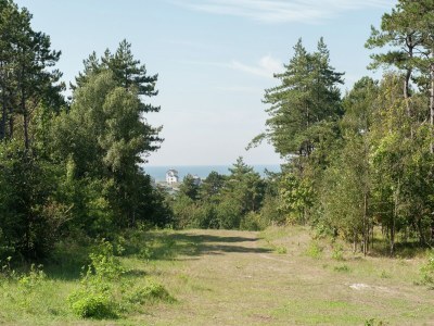 Apartment Holiday Home in Bergen near North Sea Beach - Environment photo 38