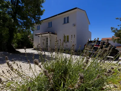 Holiday house Villa Alisa - Outdoor photo 16