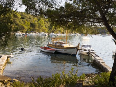 Holiday house Villa Alisa - Environment photo 29