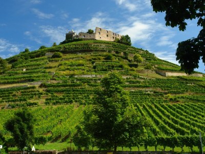 Holiday apartment Residenz Markgraf - Environment photo 21