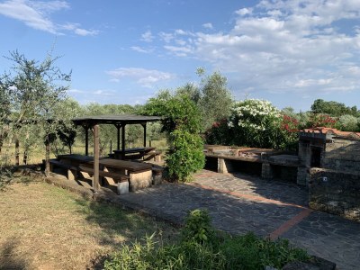 Cottage 1 - Outdoor photo 8