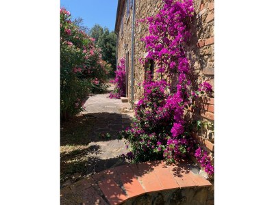 Cottage 1 - Outdoor photo 9