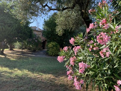 Cottage 1 - Outdoor photo 10