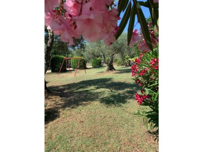 Cottage 1 - Outdoor photo 11