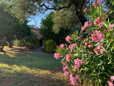 Cottage 1 - Outdoor photo 17