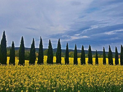 Cottage 1 - Environment photo 31