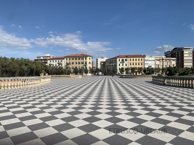 Cottage 1 - Environment photo 39