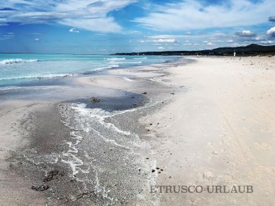 Cottage 1 - Environment photo 40