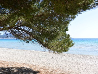 Holiday apartment Apartments Lago Esperanza - Environment photo 21