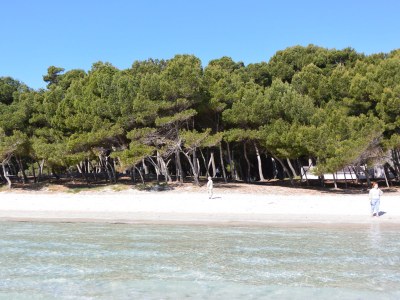 Holiday apartment Apartments Lago Esperanza - Environment photo 23