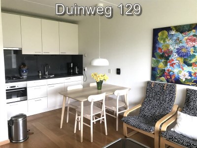 Holiday apartment Zuiderstrand Duinweg 129 - Features photo 4