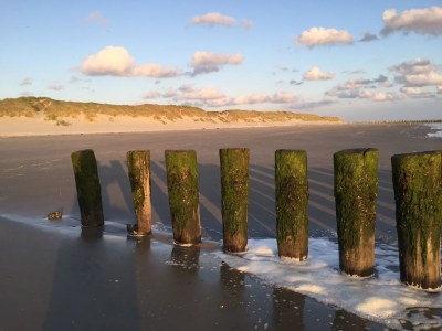 Holiday apartment Time Out Ameland - Environment photo 15
