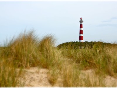 Holiday apartment Time Out Ameland - Environment photo 17