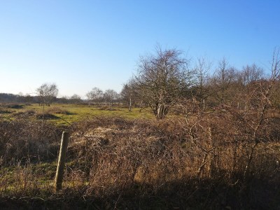 Holiday house Horizon 76 - Environment photo 23