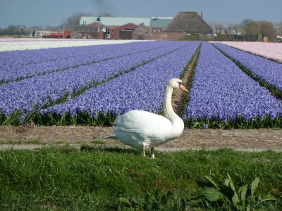 Holiday house Seestern 283 - Environment photo 18