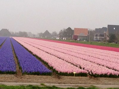 Holiday house Seestern 283 - Environment photo 23