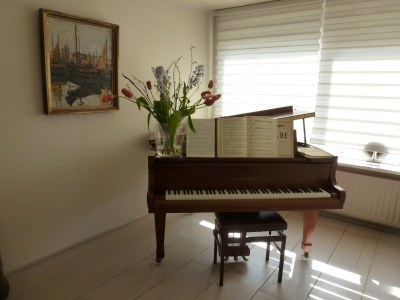 Holiday house Ruimzicht - Features photo 12